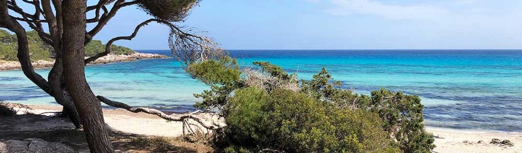 Ketamintherapie und Psychotherapie Mallorca