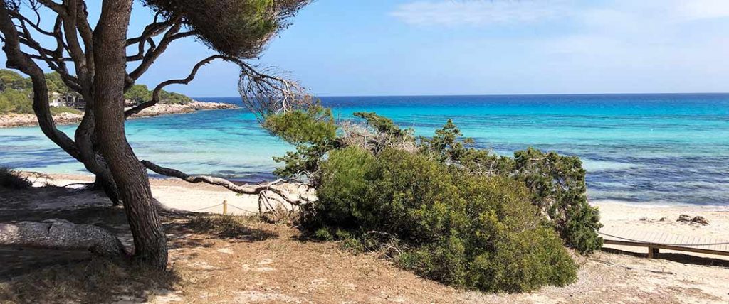 deutsche Psychotherapie Mallorca